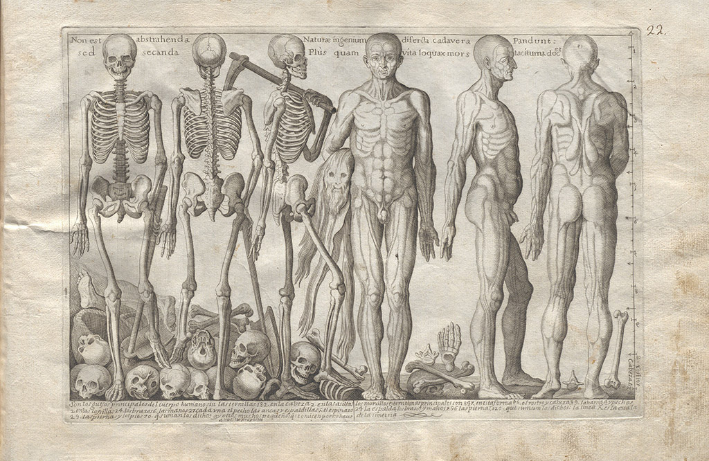 Imagen de Matías de Irala, Metodo sucinto i conpendioso de cinco simetrias apropiadas alas cinco ordenes de Arquitectura adornada con otras reglas utiles, Madrid, 1739. BonetFA/228